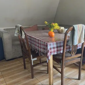 Хостел Everyday Cat, Батуми
